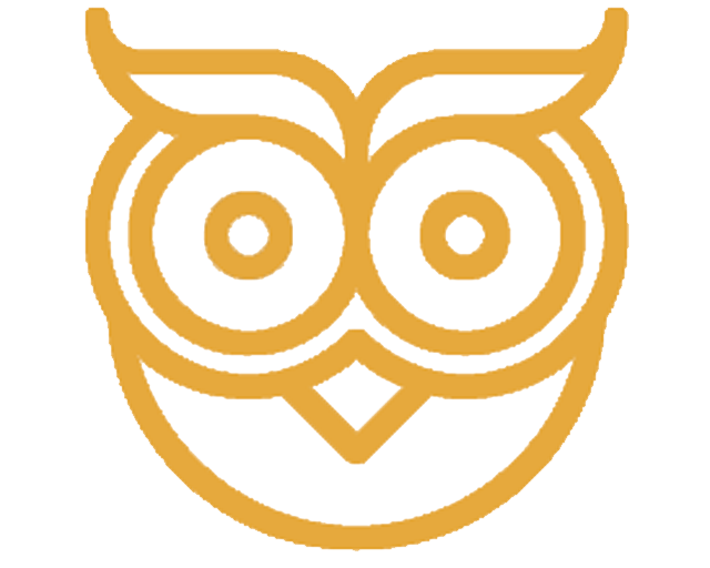 Owl icon